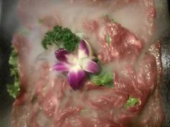 -蜀香居鲜毛肚火锅