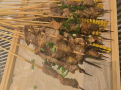 -山野的朋友露营炭火烤肉