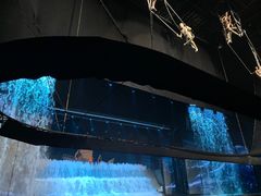 -三亚千古情景区游客中心-接待中心