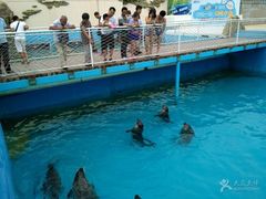 -秦皇岛乐岛海洋王国