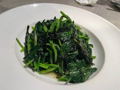 紫菜炒菠菜-醉庐·新上海菜(南京西路店)