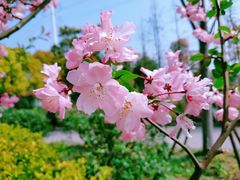 -秀沿路(地铁站)