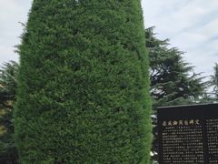 -宋庆龄陵园