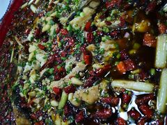 -东吴霸王兔(松青路店)