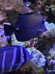 -Zoolung Zoolung动物主题公园(海信广场店)