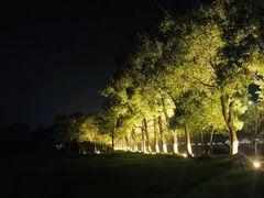 -艾溪湖湿地公园