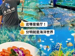 -小海豚•老字号海鲜餐厅(天涯店)