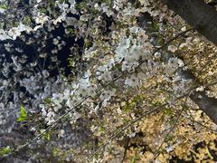 -龙美术馆西岸馆-停车场