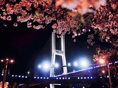 -上海南浦大桥长途旅游客运站