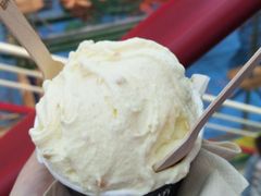 -野人先生现做冰淇淋(西安赛格店)