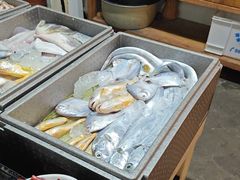 -水先生寧波菜(天一店)