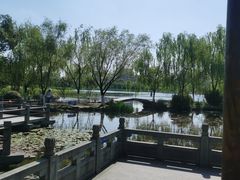 -武汉园博园(武汉自然博物馆)