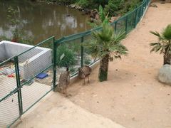 -泉州海丝野生动物世界