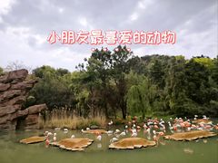 -宁波野生动物园