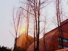 -黄桷坪涂鸦艺术街