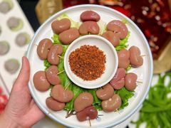 -蜀九香火锅(彩虹店)