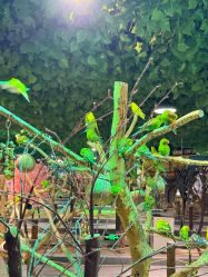 -酷嗒动物文化乐园(cutezoo西溪乐天城店)