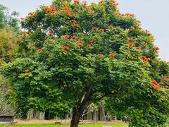 -中国科学院西双版纳热带植物园