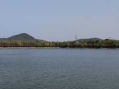 -羊山湖公园