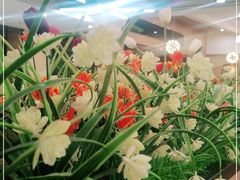 -顺旺基大厨现炒(凯德店)