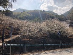 -广州市流溪河国家森林公园