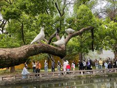 -西园戒幢律寺