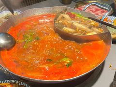 -楠小云·云南鲜菌·鲜牛自助火锅(九眼桥店)