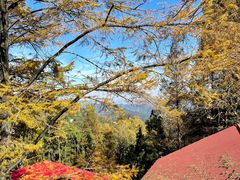 -莫干山风景区