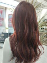 -V7 HAIR SALON