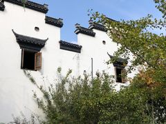 -喜杨洋草莓采摘园