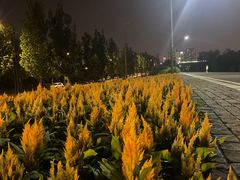 -南京眼步行桥