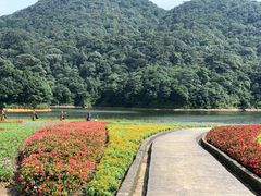 -广州市石门国家森林公园