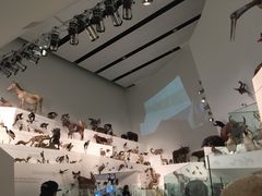 -墨尔本博物馆(Melbourne Museum)