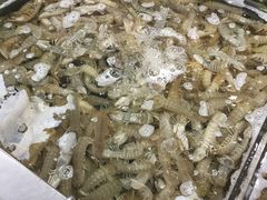 -盒马鲜生(大成店)