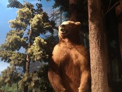 -陕西自然博物馆