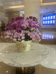 -广州曙光医学美容医院