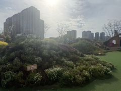 -首开·龙湖成都西宸天街