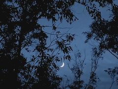 -东莞观音山旅游风景区