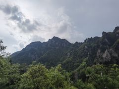 -王顺山国家森林公园