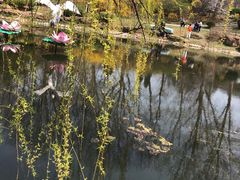 -棒棰岛宾馆景区