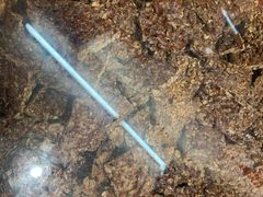 -方林富炒货店(武林路店)