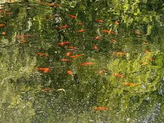 -徐家汇源景区-衡山公园