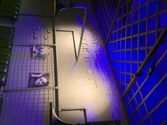 -红钳侠小龙虾·烧烤(中赢康康谷店)