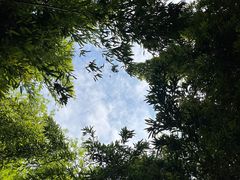 -个园