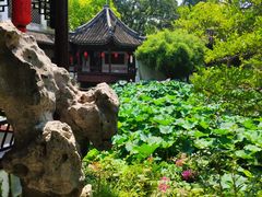 -上海醉白池公园