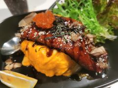 -猫儿山۰猫主题餐厅