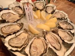 -斯普汇生蚝牛排馆(中骏世界城店)