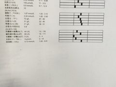 -佳雯宠物医院(四明中路分院)