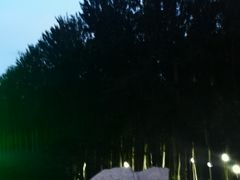 -仁和公园(顺义区)