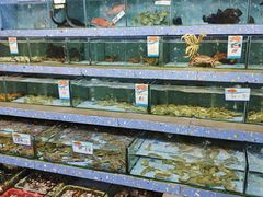 -锐记美食店·现捞海鲜(闸坡店)